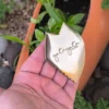 Anahata Gua Sha Kansa
